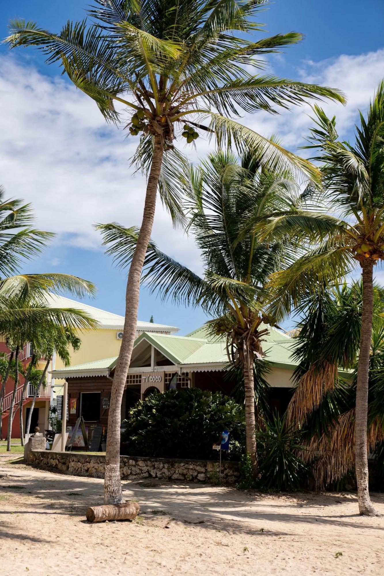 Le Petit Havre Tropical Guadeloupe, Gite, Massages & Spa 생프랑수아 외부 사진
