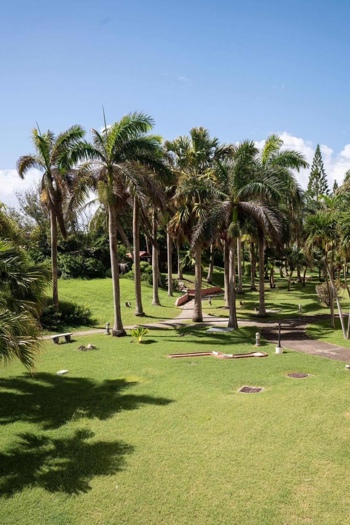 Le Petit Havre Tropical Guadeloupe, Gite, Massages & Spa 생프랑수아 외부 사진