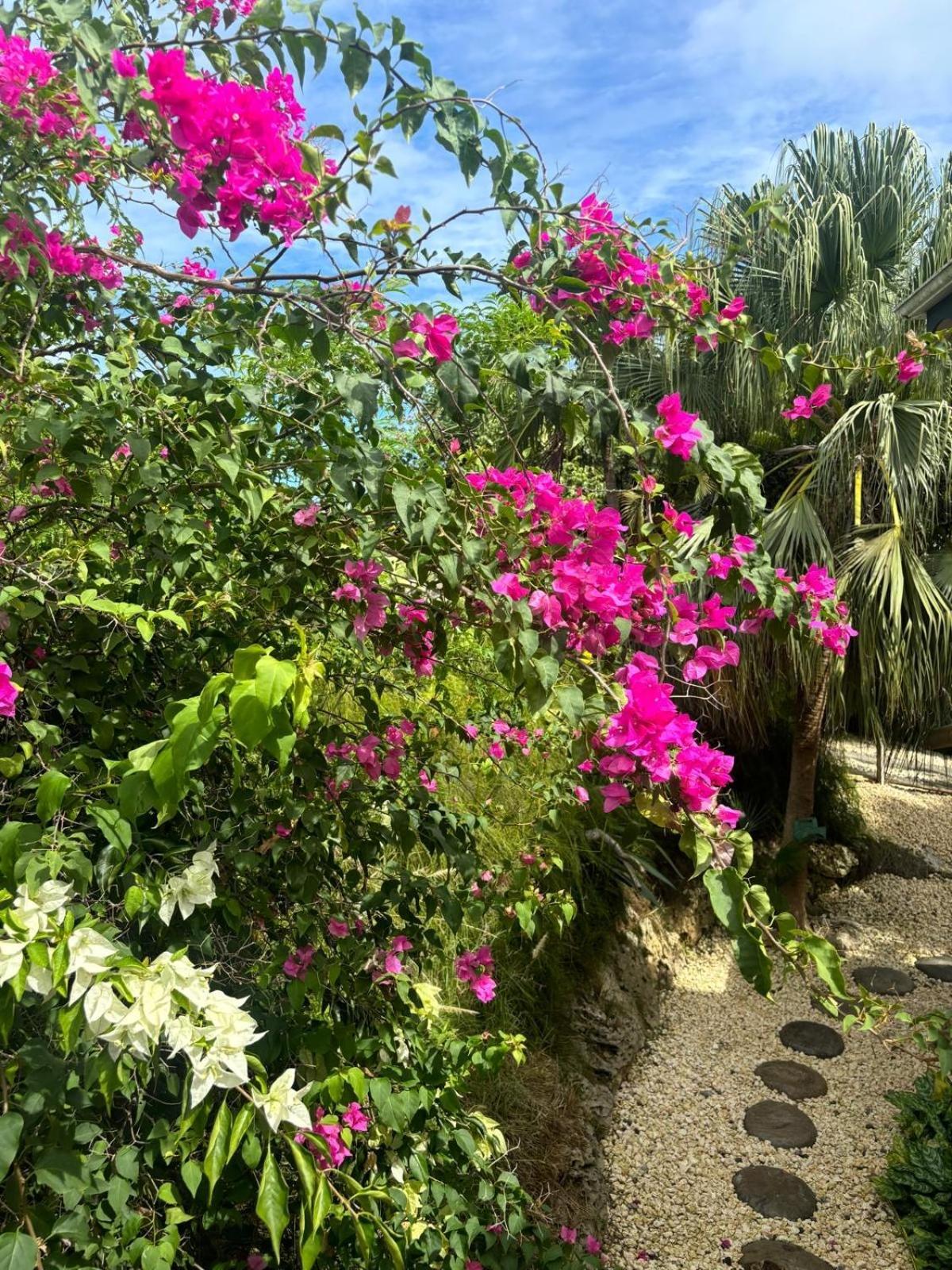 Le Petit Havre Tropical Guadeloupe, Gite, Massages & Spa 생프랑수아 외부 사진