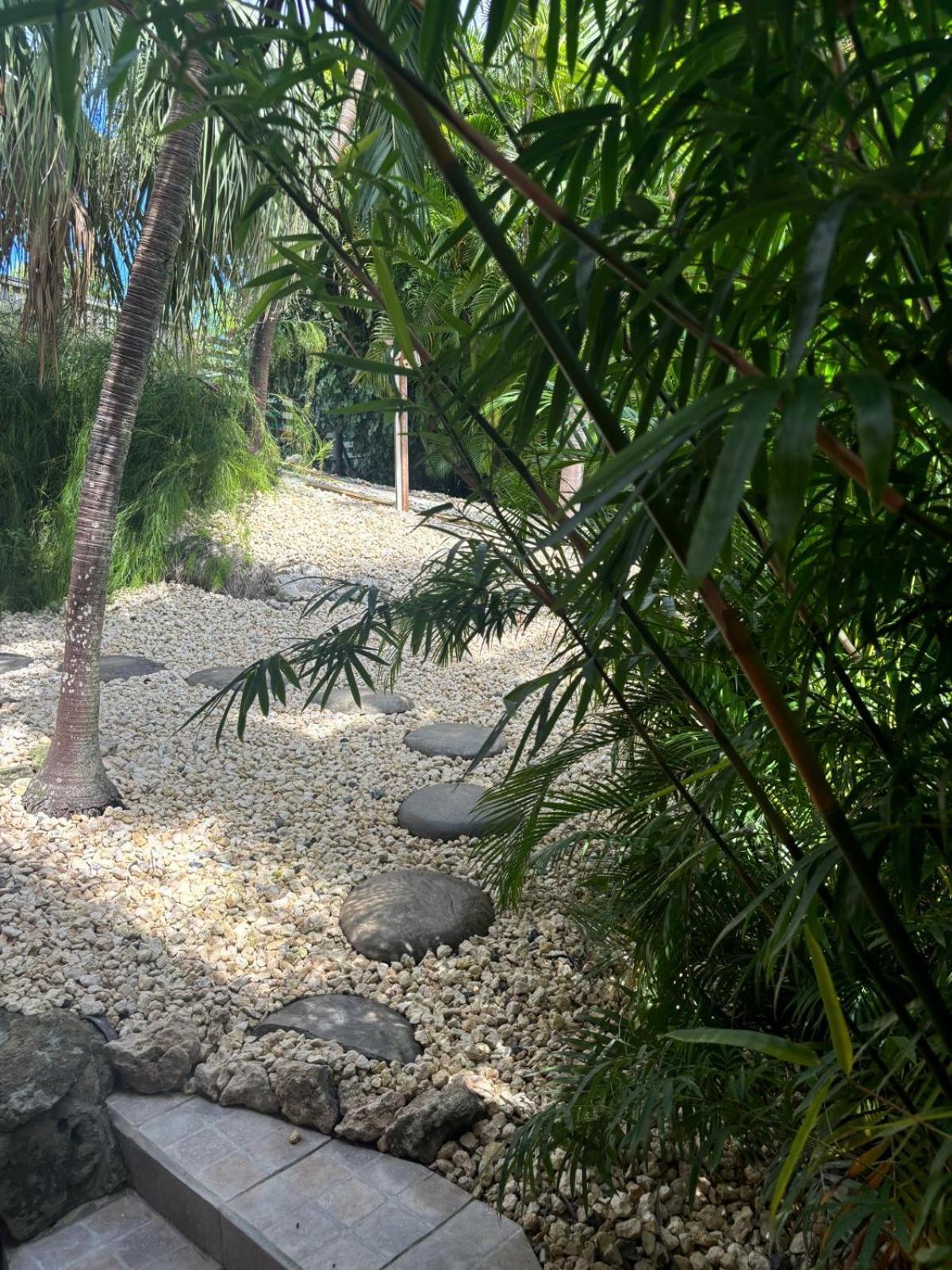 Le Petit Havre Tropical Guadeloupe, Gite, Massages & Spa 생프랑수아 외부 사진